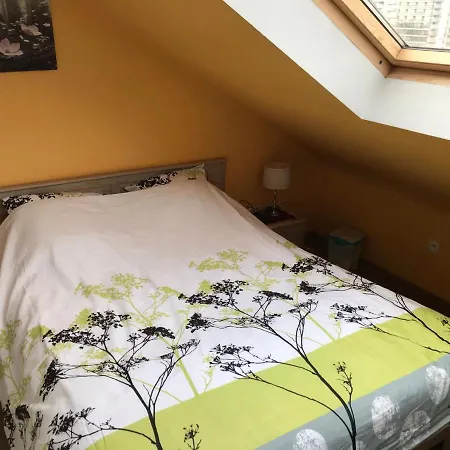 Duplex 公寓 布兰肯贝赫