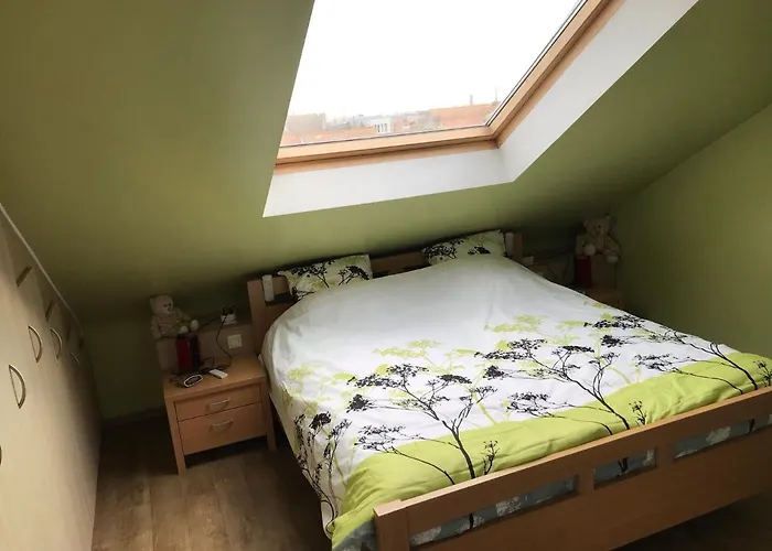 公寓 Duplex 布兰肯贝赫